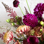 Fall -fuchsia