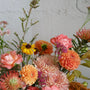 Fall -peach