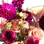 Fall -fuchsia